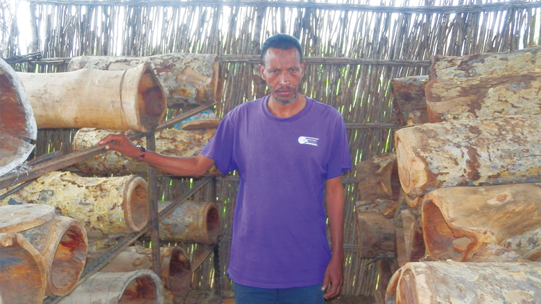 developpement-durable-1