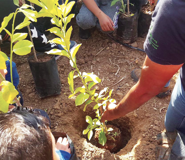 developpement-durable-2